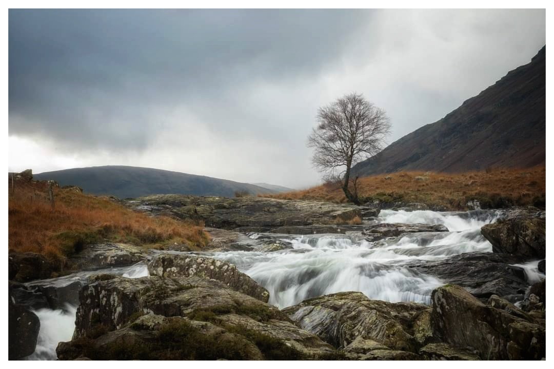 Further up the Langstrath Valley.  #langstrathvalley #LakeDistrict #lakedistrictnationalpark #landscapephotography #outdoorphotography #lonetree #cascades