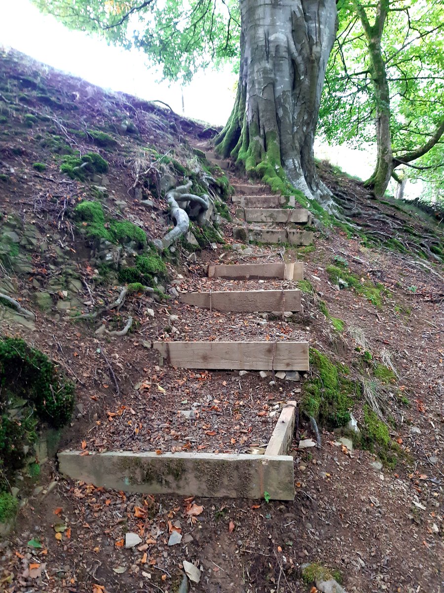 Dalesranger's tweet photo. Following a request from #WoodlandTrust to improve the steep footpath that descends down to bridge over #HebblethwaiteHallGill, Hebblethwaite Hall Wood, Dowbiggin, Sedbergh, the #WestDalesVolunteers and #WestmorlandDalesApprentices sprang into action! https://t.co/NcL7C0oJpM
