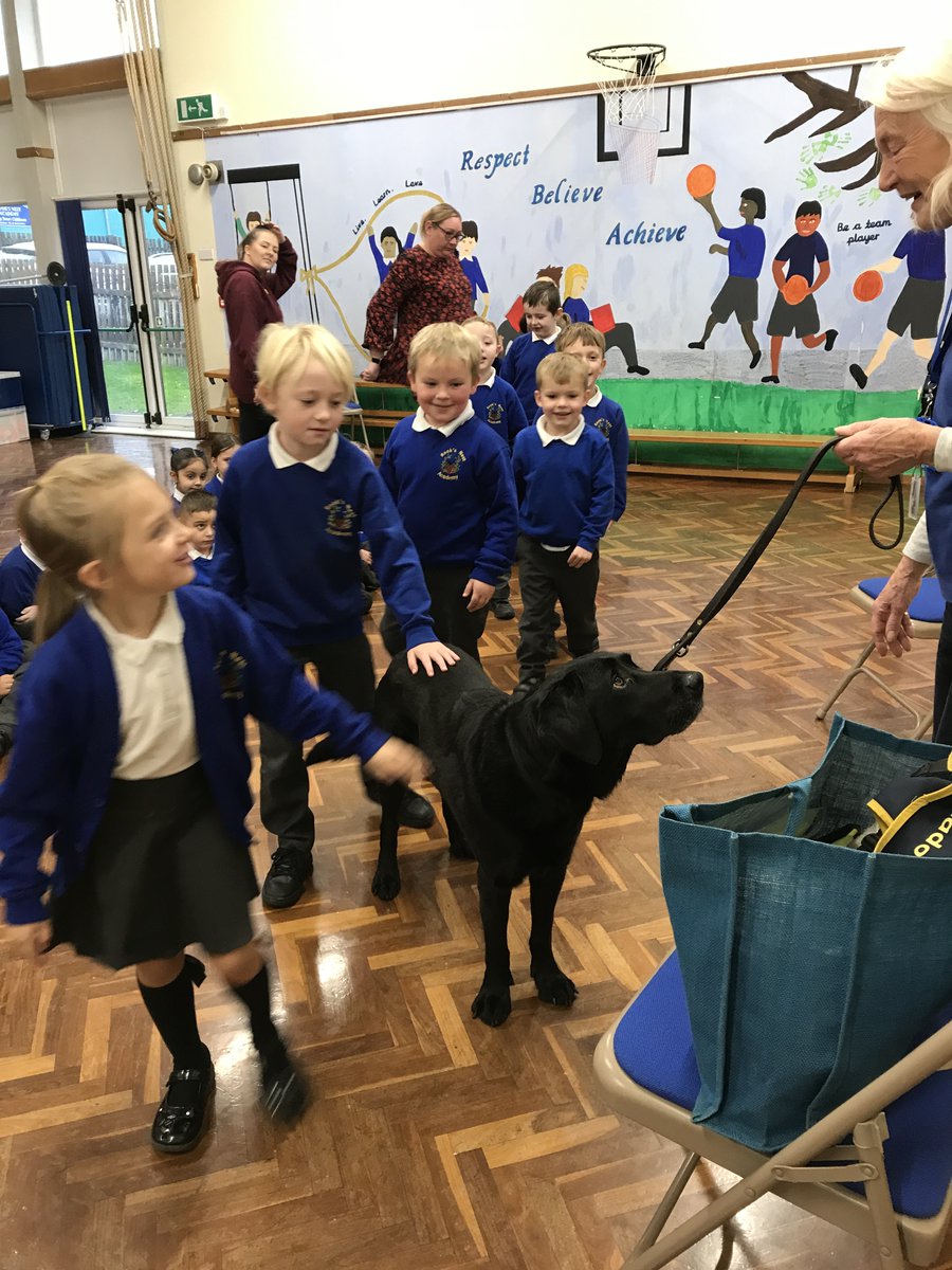 RNAMrsMilfull's tweet photo. Today we had a visit from Sabre the labrador, who is an ambassador for Guide Dogs. We found out that guide dog puppies go to school to learn how to be guide dogs. We now know that if a dog is wearing a harness, we should not disturb it because it are working. https://t.co/cgBnf0VS1O