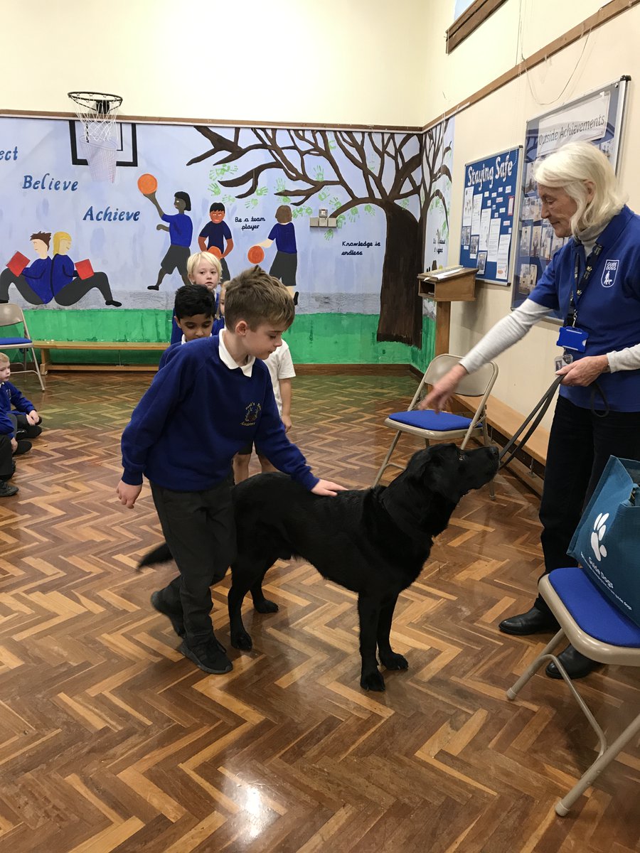 RNAMrsMilfull's tweet photo. Today we had a visit from Sabre the labrador, who is an ambassador for Guide Dogs. We found out that guide dog puppies go to school to learn how to be guide dogs. We now know that if a dog is wearing a harness, we should not disturb it because it are working. https://t.co/cgBnf0VS1O