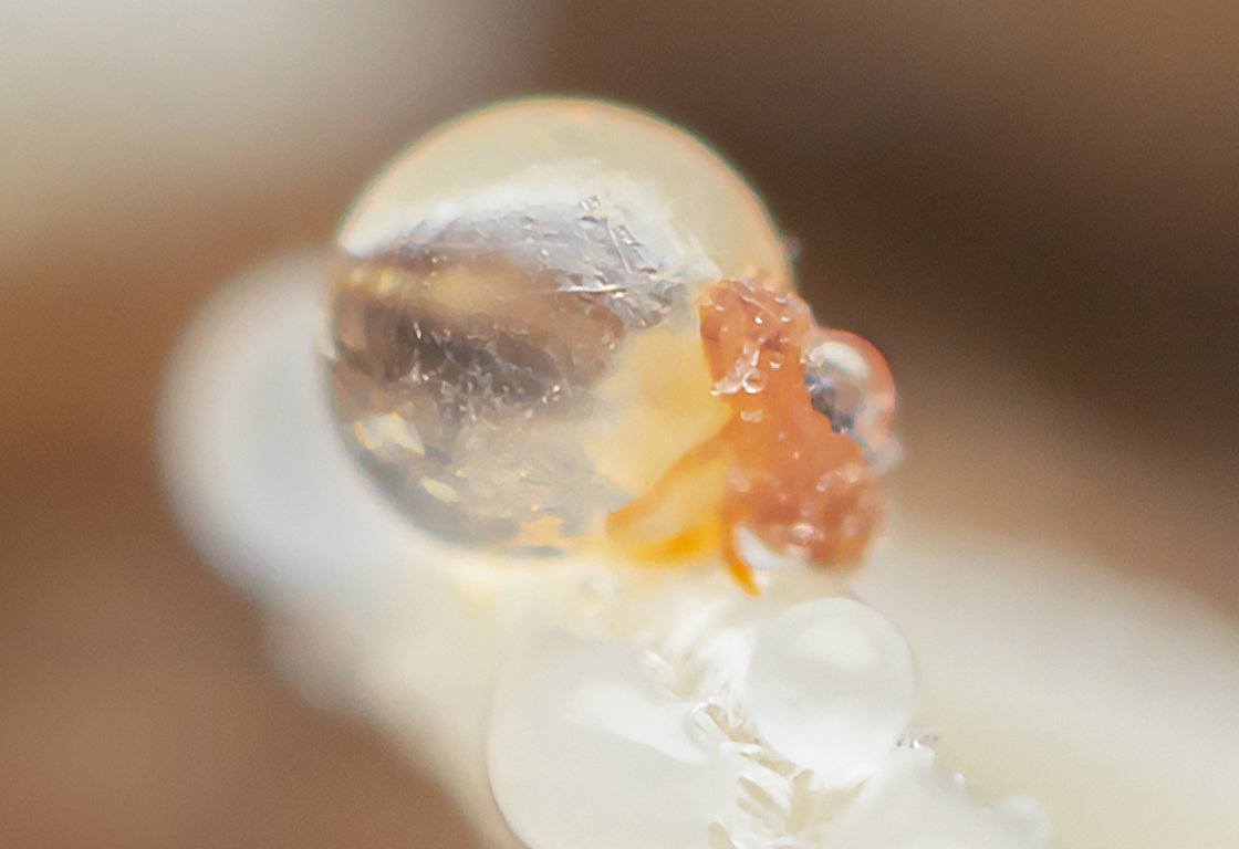 Tim Jonas tweet media