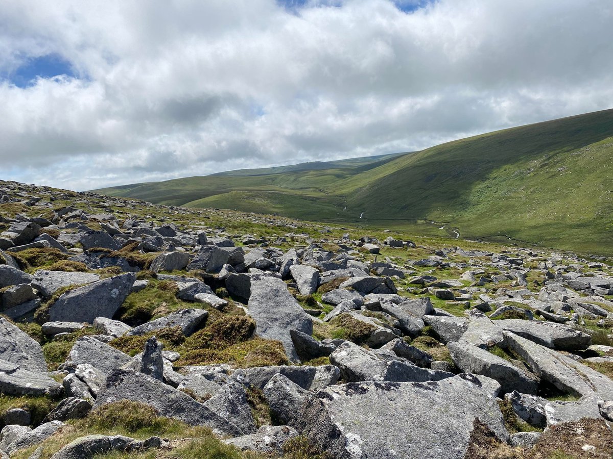 dartmoornpa's tweet photo. Take a moment to slow down and connect with nature this week. 🍃 Spending time outdoors can have a positive boost on mental health 💚

How do you unwind in nature? 

Let us know by replying 👇 https://t.co/d3rQiJhTUW