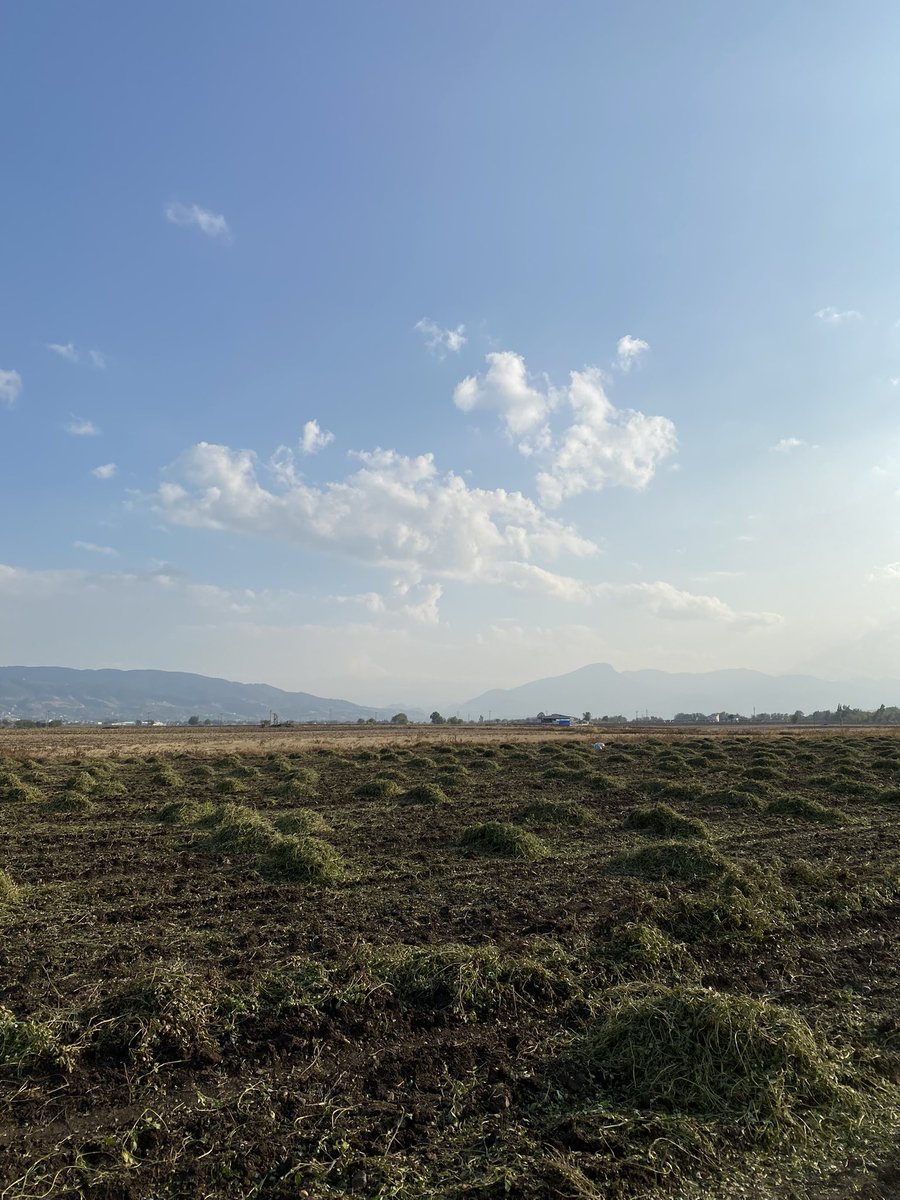 kızım göllülerdeyim diyorum