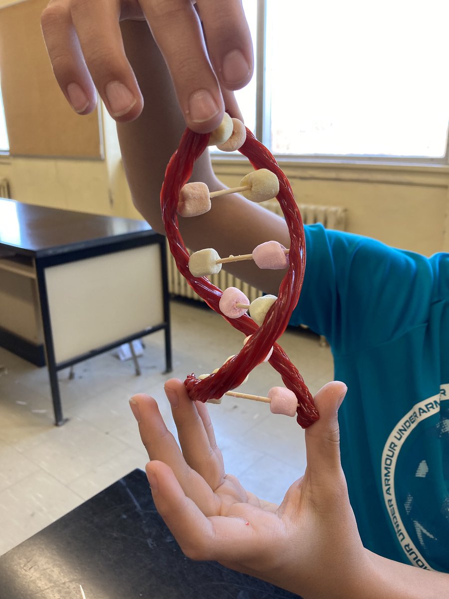 Thank you <a href="/LTSOttawa/">Let's Talk Science at uOttawa and CarletonU</a> for the engaging workshop for our #Cells unit. Students extracted DNA from bananas, made DNA bracelets and double helix candy DNA models. #STEM <a href="/LetsTalkScience/">Let's Talk Science</a>