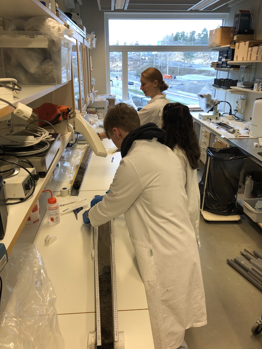 MarinePlants_SU's tweet photo. Slicing sediment cores from the Baltic Sea for our #climscape project. This week we also got help from two high school students, Theresa and Jens👌. https://t.co/JGFdzYNlIA