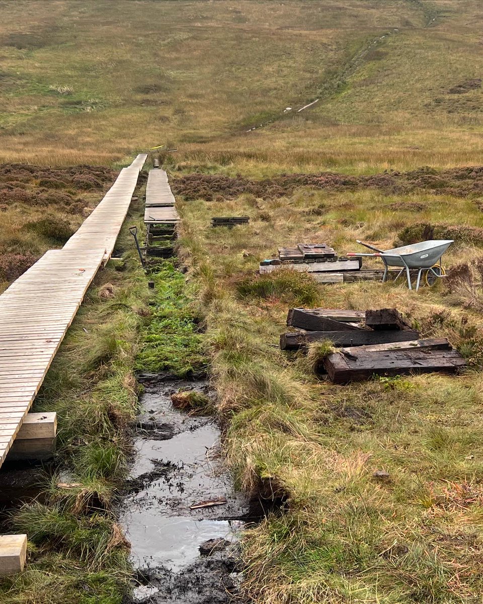 Dales Ranger tweet media