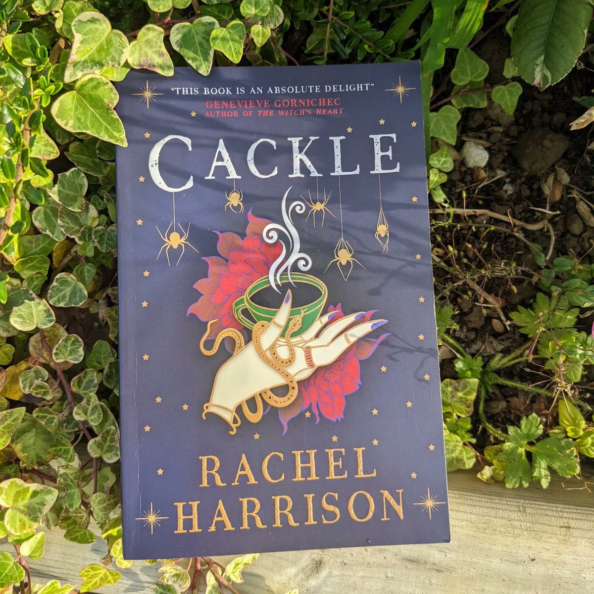 up2latereading's tweet photo. AD/PR PRODUCT ๐ BOOK REVIEW
Was completely entranced by this read!
Full review of Cackle @rachfacelogic https://t.co/qxzjhwrESF
#bookreview #bookrecommendation #titanbooks #cackle #rachelharrison #booktwt #BookTwitter #uptoolatereading https://t.co/08Mv8ptp9M