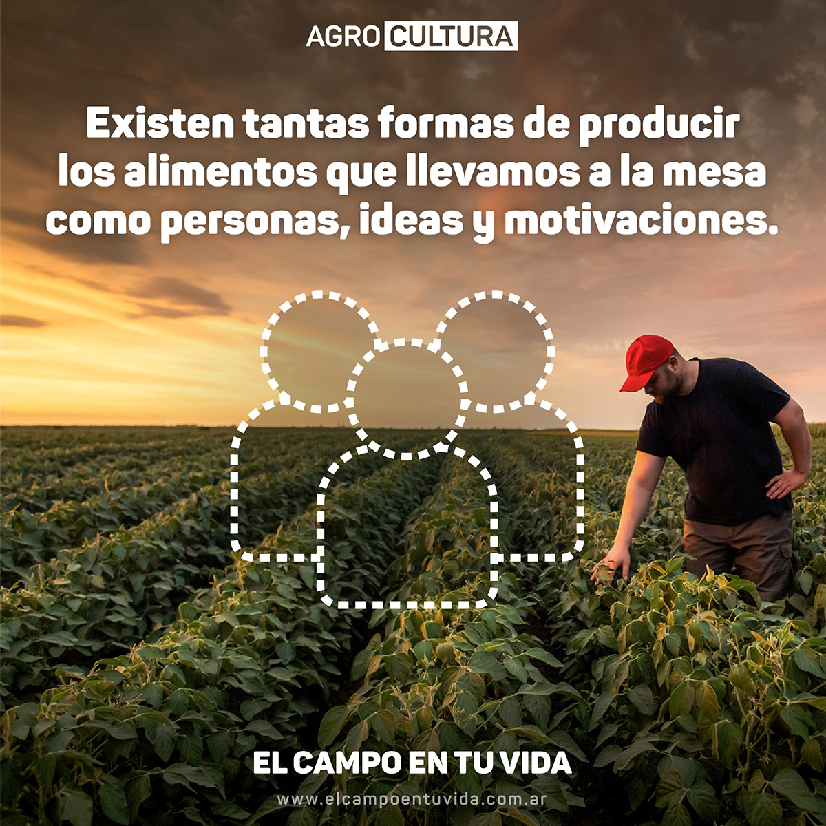 Buenas Prácticas Agro tweet media