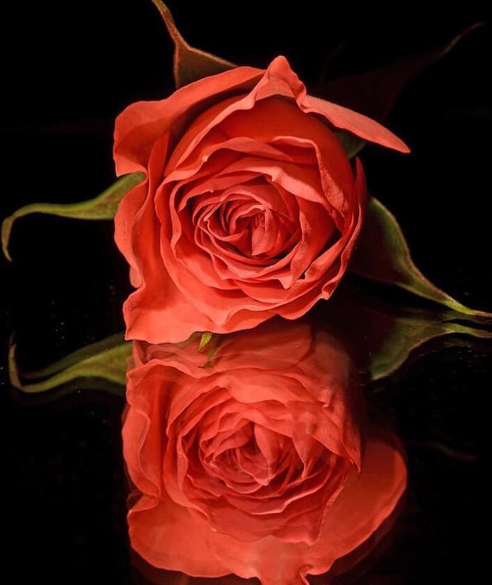 MarianneSmith7's tweet photo. One of the best ways to remind someone who has lost hope that there’s beauty in the world is to hold a mirror in front of them until they see the same goodness in themselves that you see.
#TuesdayThoughts
#ReflectTheLight
#ThereIsASong4Everything
https://t.co/XfXh2occ1v https://t.co/BdD7akh2uK