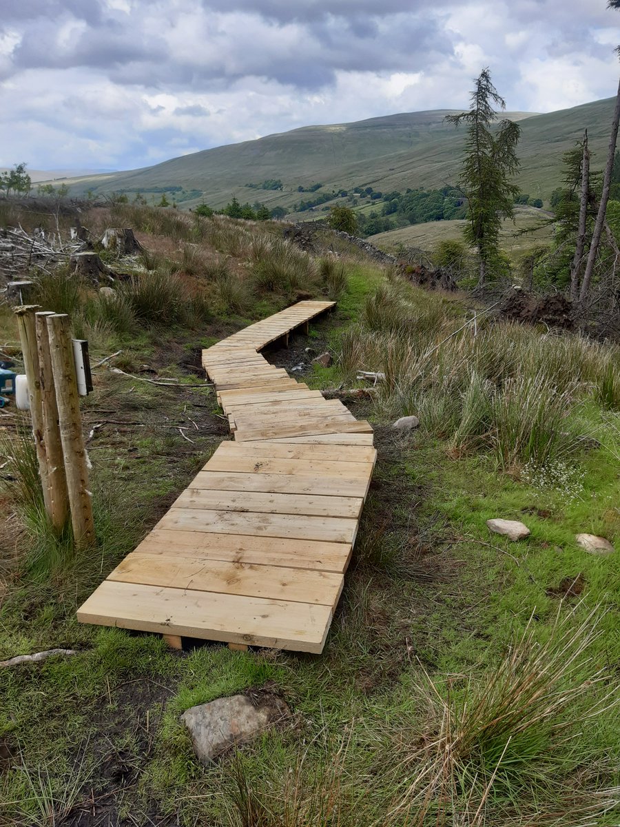 #WesternRangers enlisted the help of the #WestDalesVolunteers, #WestmorlandDalesApprentices and #schoolworkexperiencestudents to replace the boardwalk at #MossyBottom near #DentHead.  Done over a few months in the rain, sun, wind, hail and midgies!