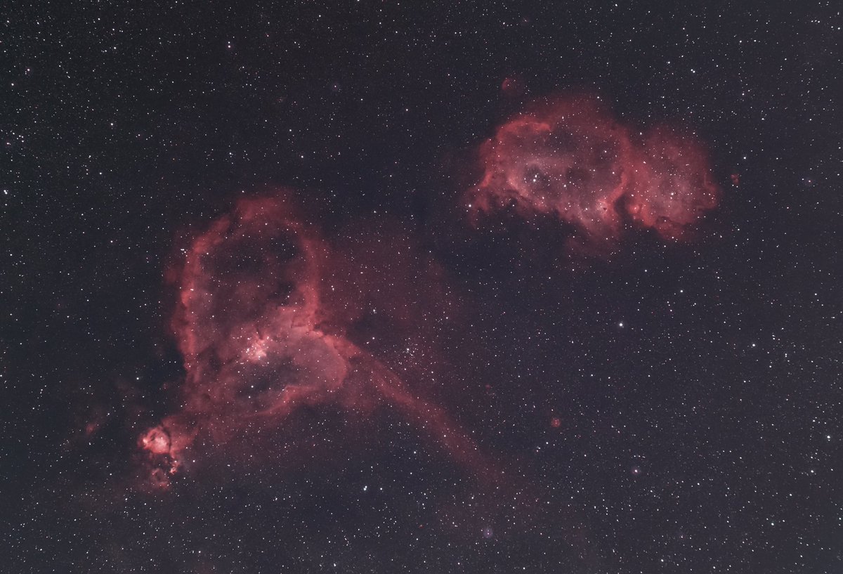 myboy_bubba's tweet photo. Heart and soul nebula taken with a rokinon 135mm lens and asi294mc pro using an L extreme filter. Just over 4 hours. This is the first image I’ve used the ASIAIR plus on. It takes time to learn but definitely worth is. https://t.co/yUFXOyAqQL