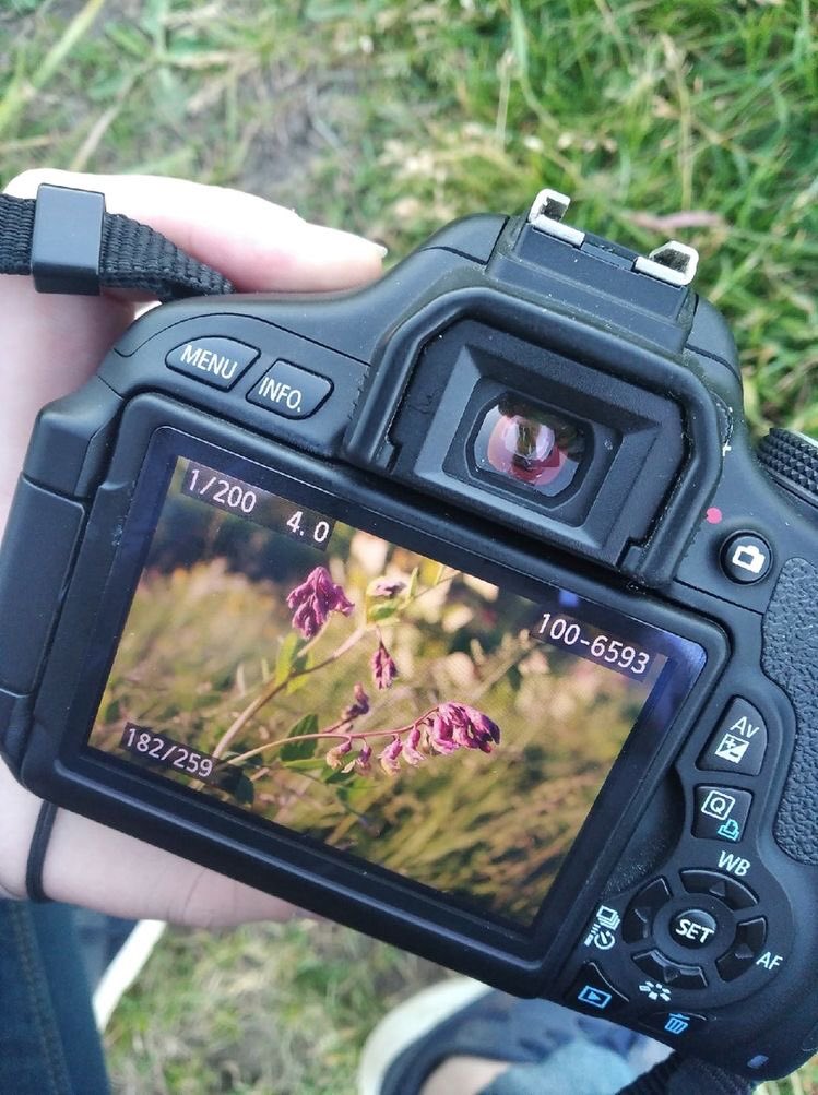 <a href="/WidzDj/">꧁🆆🅸🅳🅸🅰🅽🅰🅽🆃🅾꧂</a> @SonaBab20270420 <a href="/CantikaCahyhani/">Bunda Cantika</a> <a href="/ElbowRoomApps/">Elbow Room Apps</a> <a href="/beyazmelek330/">💙💛🇹🇷 Çirkin 🇹🇷💛💙</a> @biapeacelove2 @maddykins133 <a href="/bell428103/">Tao</a> <a href="/kenanthy/">Kenan</a> <a href="/Ademirkin3/">🇹🇷 Çirkin Adem🇹🇷💛💙</a> <a href="/Meggy_Lov/">Meggy</a> <a href="/bidge249/">Rini NrB 🇮🇩</a> @d369luv <a href="/LekMarteg/">Marteg</a> <a href="/Ironhorse76/">Ironhorse RESISTS 🌊🇺🇸🇺🇦</a> <a href="/BatinDuansa/">ꦲꦗꦶ​ aji 🇲🇨</a> <a href="/LangonLegend/">✨LANGONLEGEND✨</a> <a href="/Dj_Widz/">𓆩♱𝕎𝕀𝔻𝕀𝔸ℕ𝔸ℕ𝕋𝕆 𝔻𝕁♱𓆪</a> 🌸Hello🌸
💯💯💯💯💯
🌷thank you very much🌷

　　　　　　📸Dear Friends💐