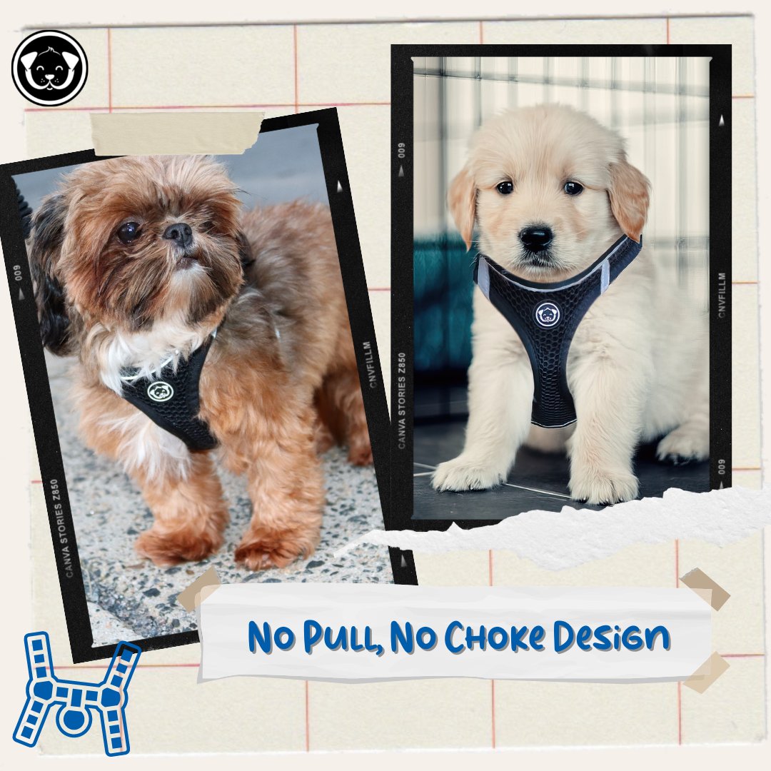 WagAvenueCo's tweet photo. ๐ถ No Pull, No Choke Design, easy to handle harness ๐ฆฎ
๐พ Amazon link in the bio ๐พ
#dog #doglife #dogharness #dogaccessory #dogmom #doglover #doggears #doggo #dogoftheday #doggoforever https://t.co/NQnlpBeq4V