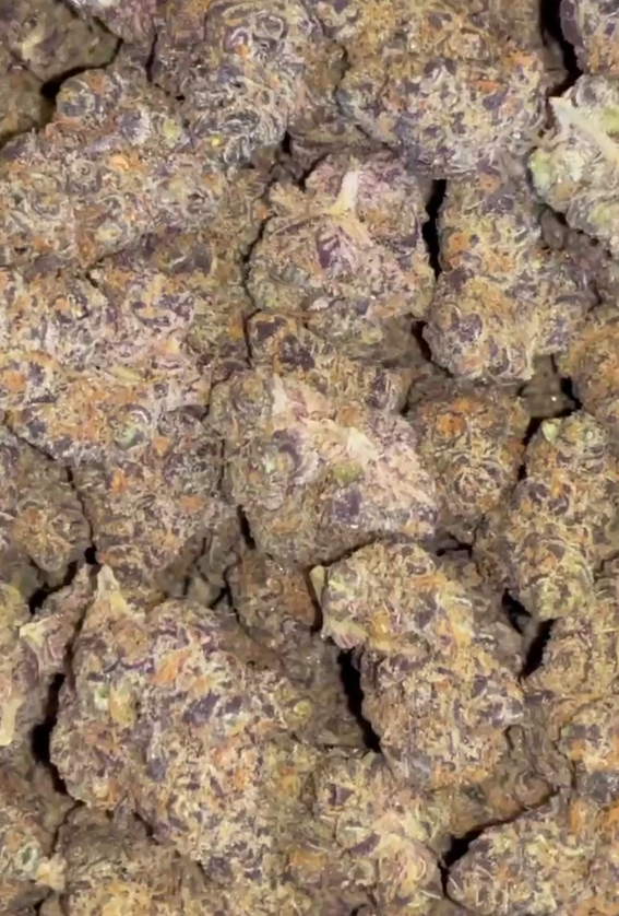 Black Cherry Runtz