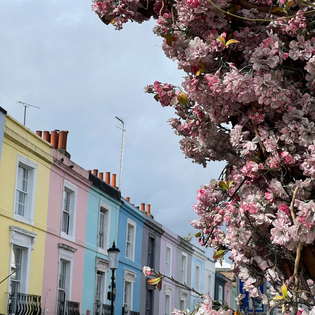 De kleurrijkste huizen van Londen vind je zonder twijfel in Notting Hill. Zet zeker de volgende straten op je lijstje.👇 📍Portobello Road 📍St Lukes Mews 📍Lancaster Road 📍Farm Place Ontdek nog meer over deze kleurrijke Londense wijk via deze link: bit.ly/3NdrHTb .
