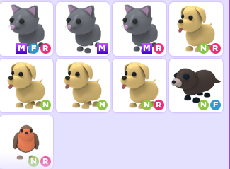 Dark_ilx's tweet photo. Trading that neons/megas!? <3
I dont offer sorry!
Like means nty sorry!
I dont make crosstrades!
Total:40 neons and 4 megas!
🏷️:#Adoptme #adoptmetrades #adoptmetrade #adoptmeoffers #adoptmeoffering #adoptmetrading #adoptmeoffer #adoptmerobux #adoptmee #adoptmeroblox https://t.co/XpW1a8jPlt