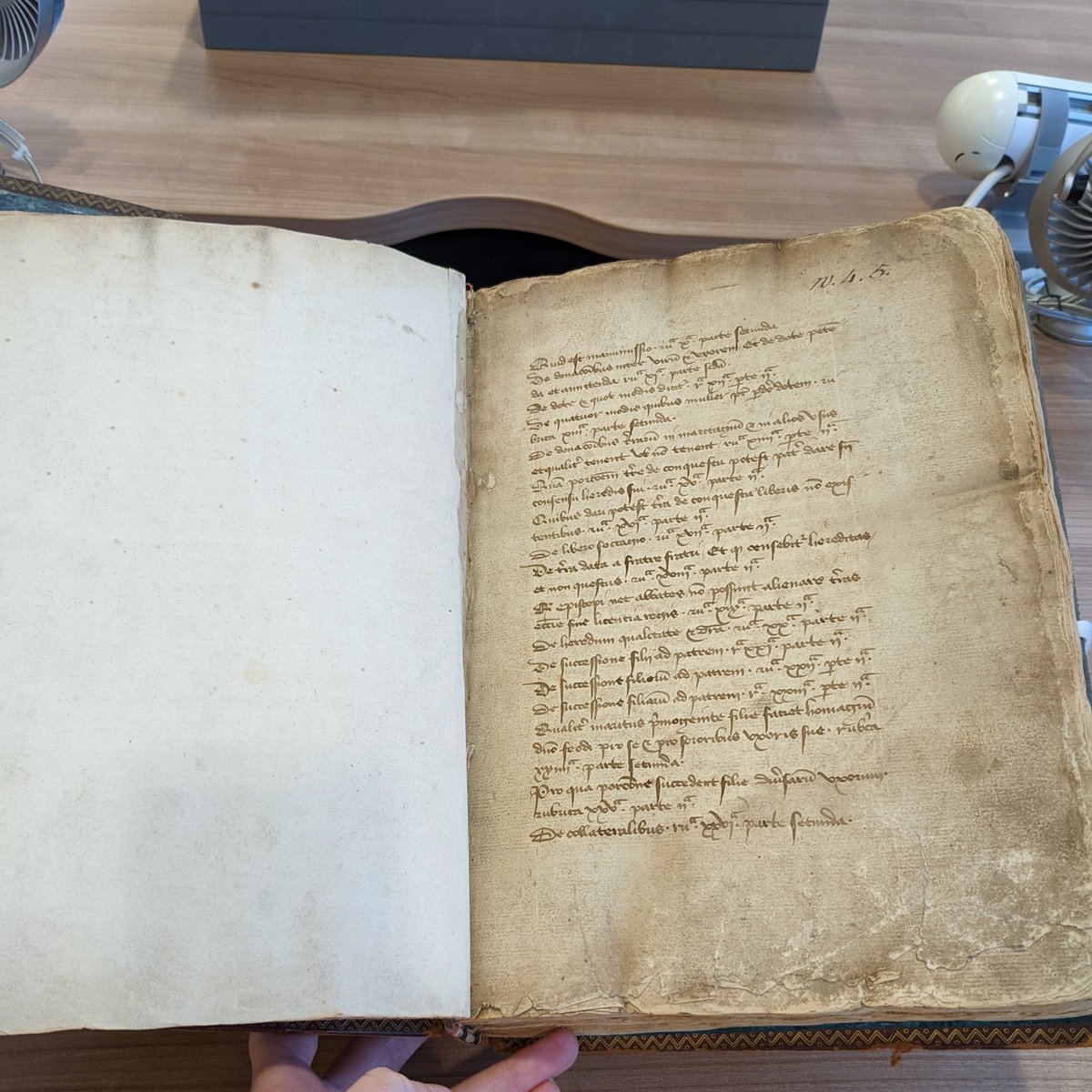 Lisa Cowan tweet media