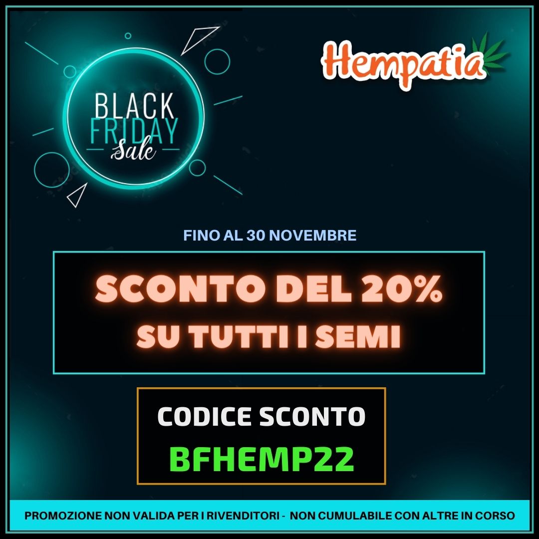 Arriva il Black Friday su Hempatia!
Fino al 30 novembre per te il 20% di sconto su tutti i semi da collezione del catalogo! *

Usa il codice sconto BFHEMP22!

Ti aspettiamo su hempatia.network

* promozione non valida per i rivenditori - non cumulabile con altre in corso.