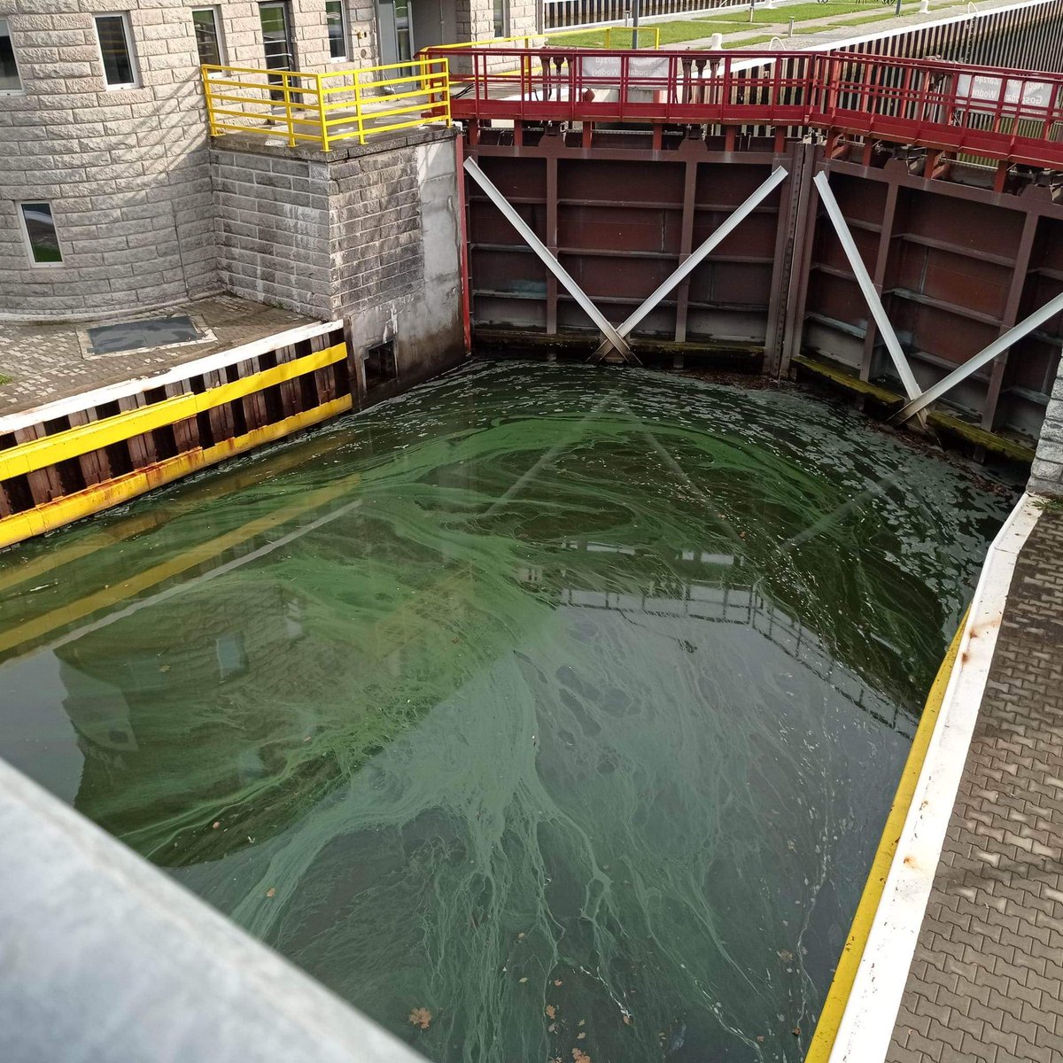 Polski Związek Wędkarski tweet media