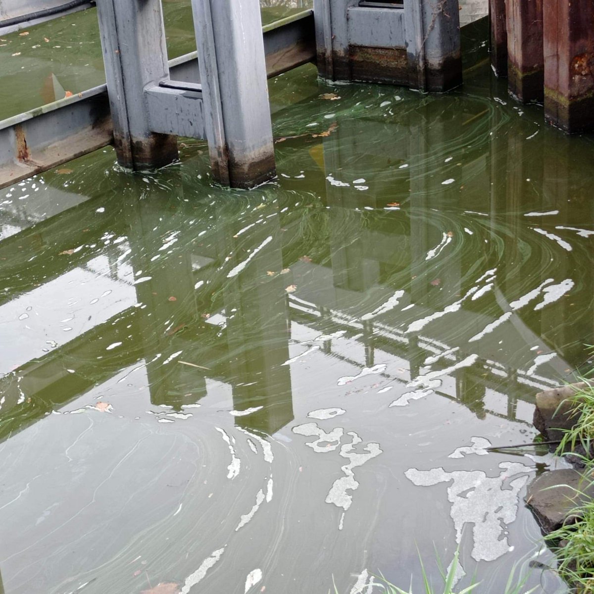 Polski Związek Wędkarski tweet media