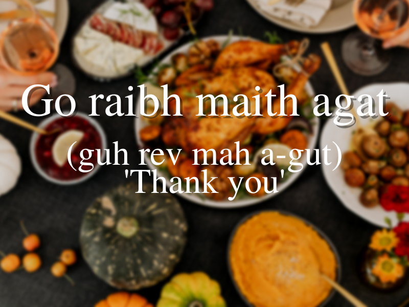 AmericanIrishSL's tweet photo. In the spirit of Thanksgiving our #WednesdayIrishWordoftheWeek is 'Go raibh maith agat' which literally means 'may there be good to you' but also is used for saying 'Thank you' https://t.co/EmB8RKBIcn
