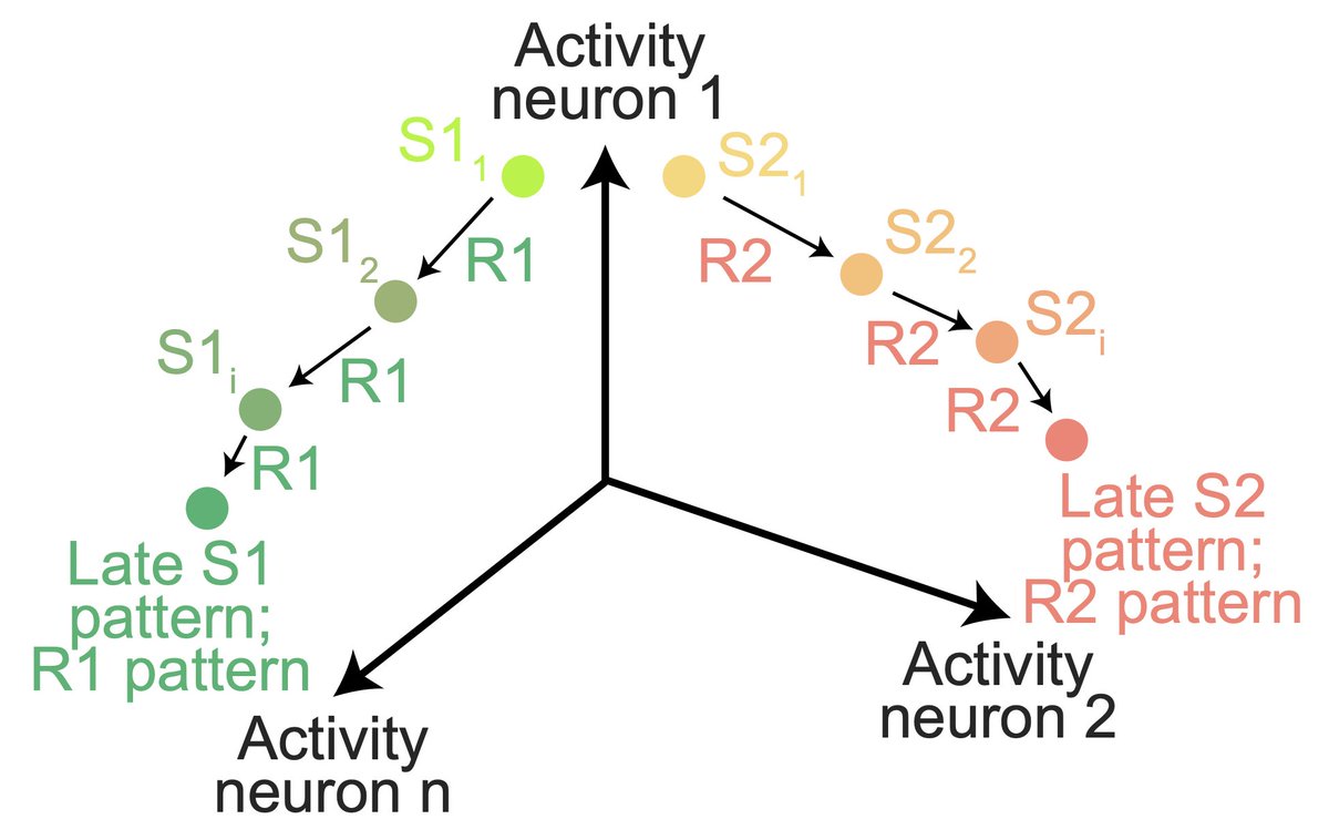 @markandermann.bsky.social (@andermann_mark) on Twitter photo Excited to share Nghia Nguyen’s graduate work <a href="/biorxiv_neursci/">bioRxiv Neuroscience</a>!
How do offline stimulus reactivations in cortex relate to later changes in stimulus responses (representational drift)?
Cortical reactivations predict future sensory responses.
biorxiv.org/content/10.110…
1/6 Excited to share Nghia Nguyen’s graduate work <a href="/biorxiv_neursci/">bioRxiv Neuroscience</a>!
How do offline stimulus reactivations in cortex relate to later changes in stimulus responses (representational drift)?
Cortical reactivations predict future sensory responses.
biorxiv.org/content/10.110…
1/6