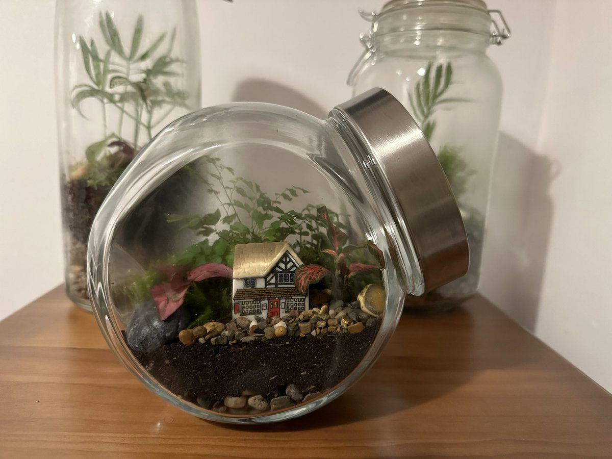 Started a new hobby, #indoorgardening #Cactusgarden #Terareum