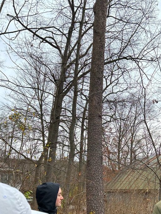 Val LaMore tweet media