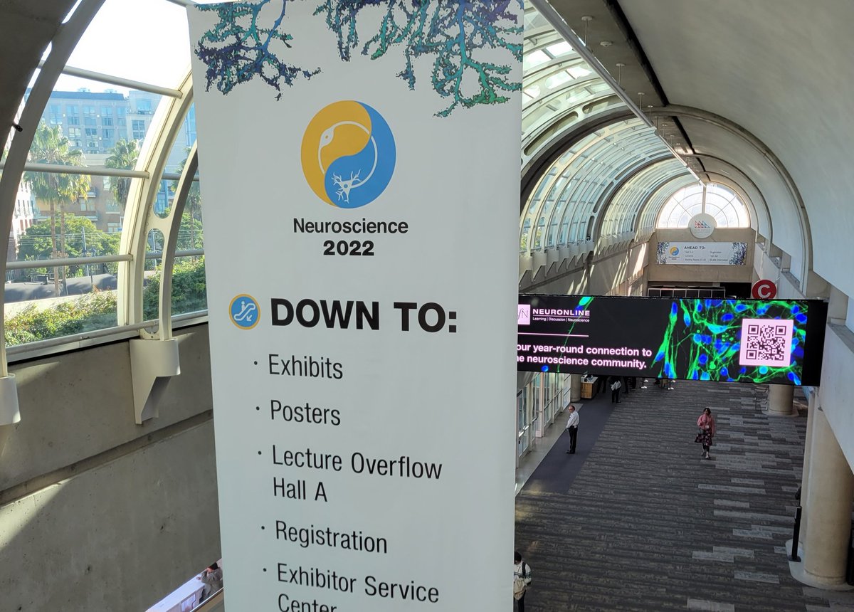 ru_t_johnson's tweet photo. This afternoon at #SfN2022 I'll be presenting "Estimating muscle model parameters in elbow muscles via hierarchical Bayesian modeling" at poster board YY36. https://t.co/4iOpGoSAvG