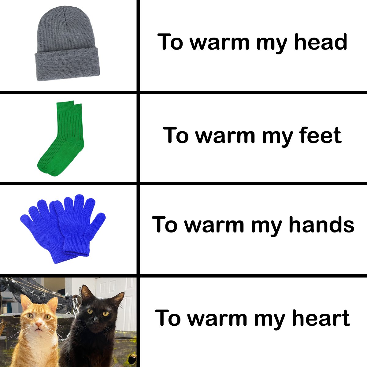 ColeTheBlackCat's tweet image. YUP! ❄️❤️

#Cats #CatPeople #CatsOfTwitter