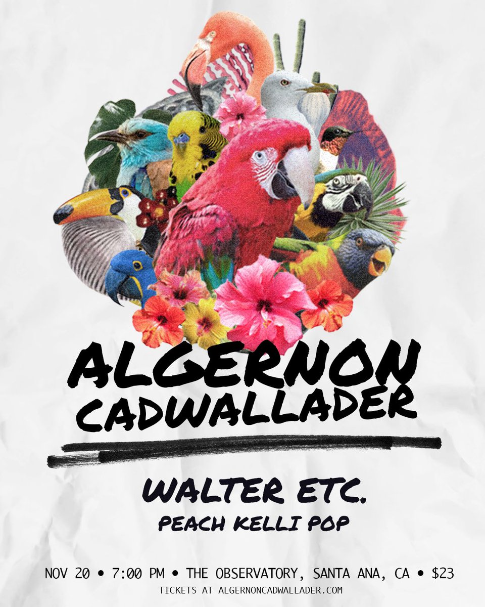 santa ana, CA this weekend. last show on tour with <a href="/walter_etc/">Walter Etc. ➐</a> and <a href="/peach_kelli_pop/">★彡 𝒫𝑒𝒶𝒸𝒽 𝒦𝑒𝓁𝓁𝒾 𝒫𝑜𝓅 ★彡</a>!

tickets at algernoncadwallader.com