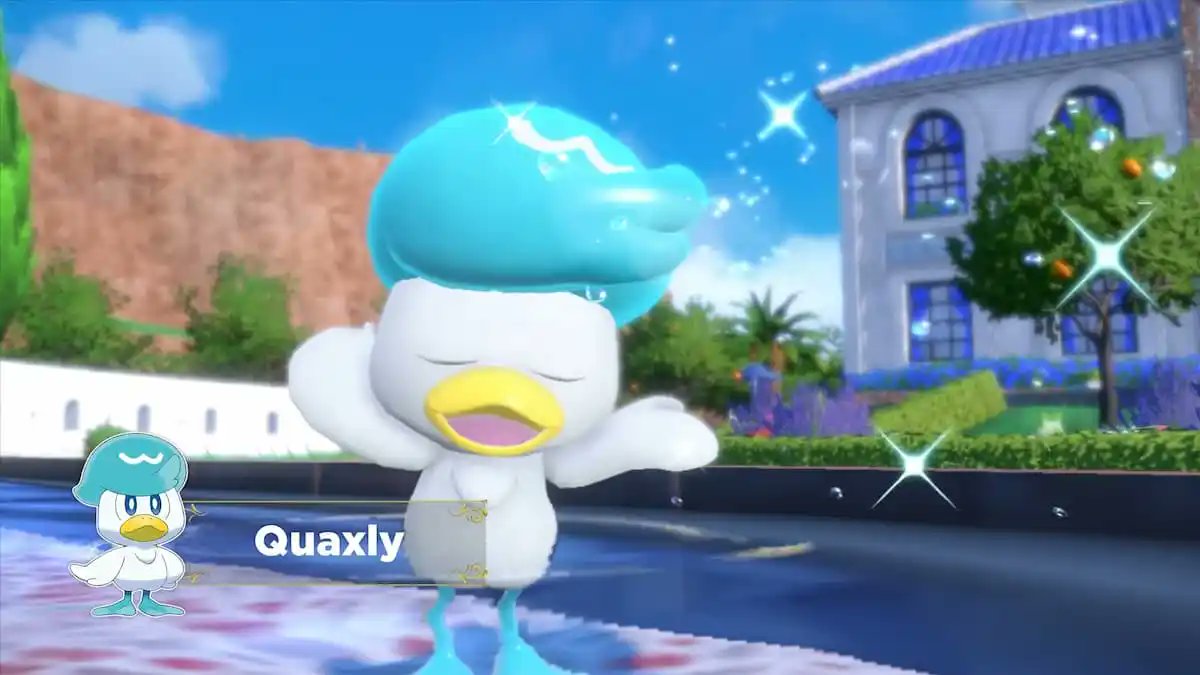 I wasn't sure which starter I was going to pick for Pokemon Scarlet and Violet, but after he helped us in the #BIGMANSWEEP, I'm choosing the quacky boi.