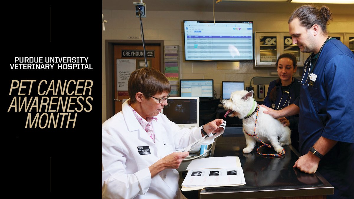 Tweet by Purdue Veterinary Medicine