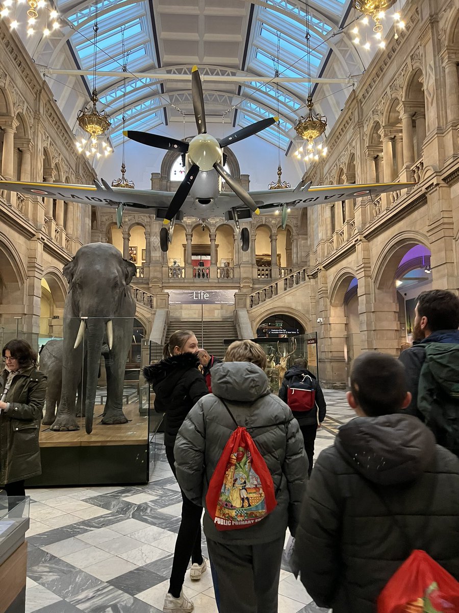 Ms Maden tweet media