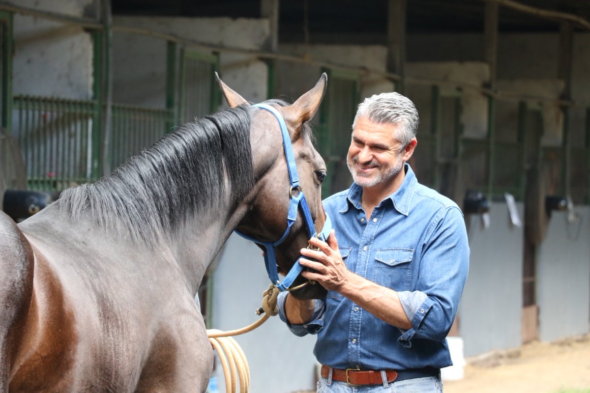 Éxito de la subasta de <a href="/HarasCerroPunta/">Haras Cerro Punta</a> 100% en línea! Siempre apuntando a la excelencia en la crianza que pone a Panamá en alto en las carreras internacionales.