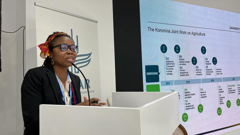 'Historical justice has to be a bigger part of the @UNFCCC's work on agriculture. This includes land grabbing, slavery, workers' rights, and corporate takeovers' - Rebecca Sarku, @UniversityLeeds at #COP27. #ClimateResilience Initiative @BiovIntCIAT_eng @irri @CGIARAfrica