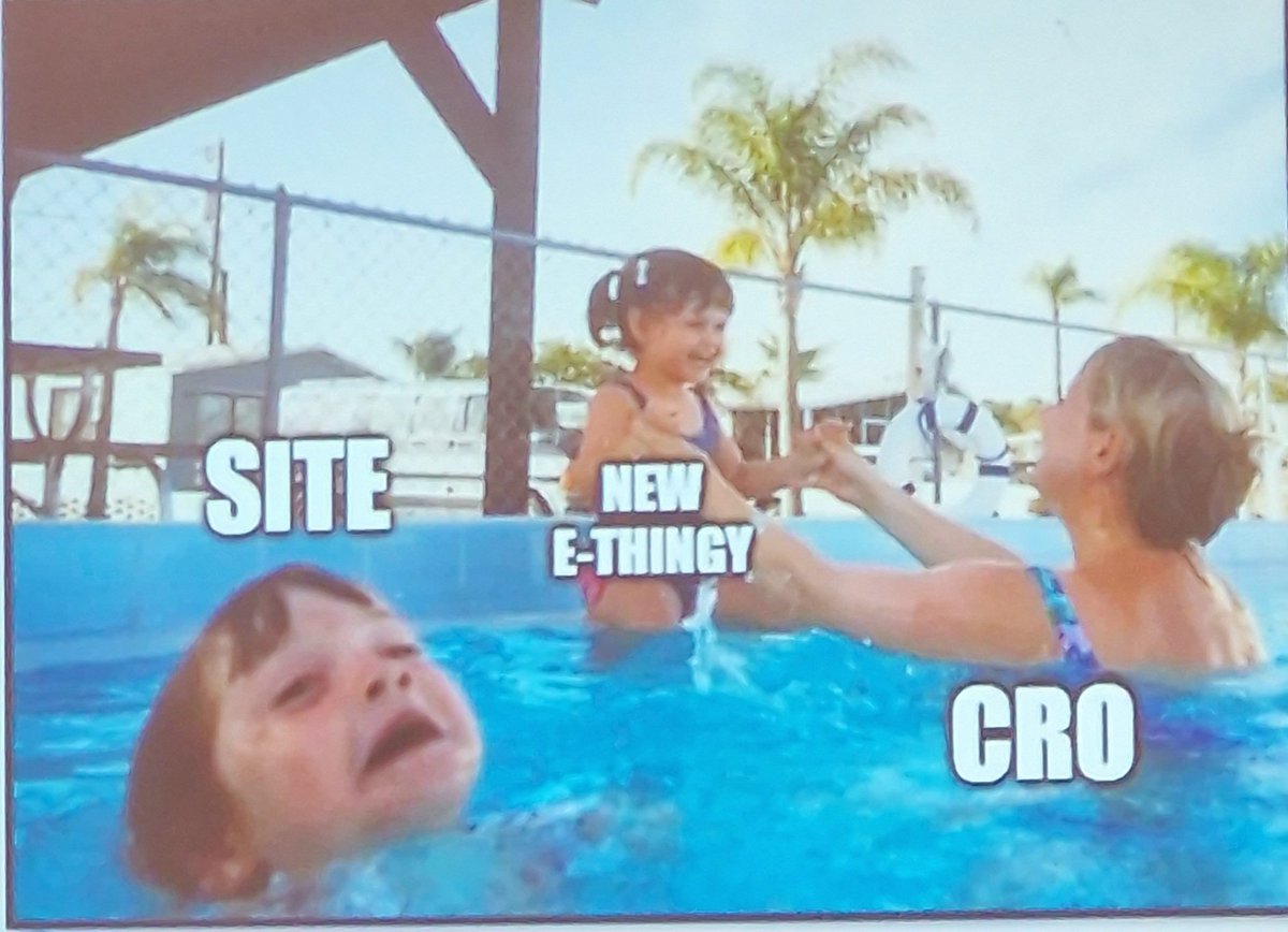 TheDigitalRad's tweet photo. Interesting two days at #SCRS2022! Hearing thoughts and ideas on how we can makes research staff feel less like this! https://t.co/2w0rzYEbEC