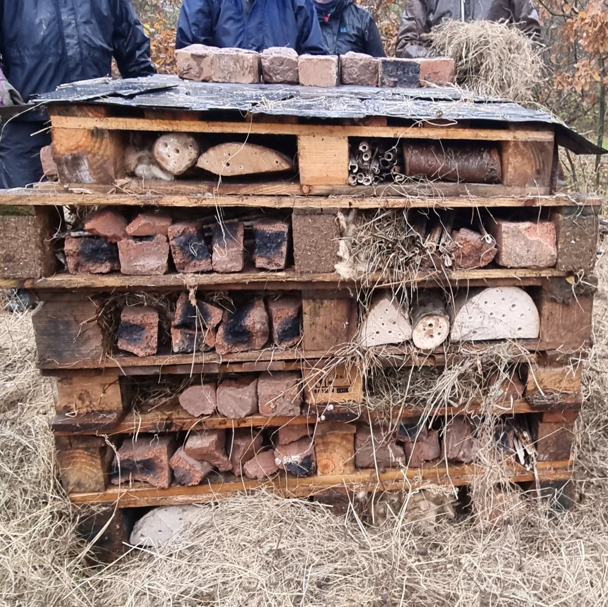 BFTWildlife's tweet photo. Another #bughotel built by @BordersForest Trust #volunteers at #ShuntersWud in #Darnick. Well done to everyone who braved the rain and thank you to the locals who donated items
#bugs #insects #bees #invertebrates #pollinators #wildlife #nature @BordersWild #woodlands https://t.co/EvaoyyLBWn