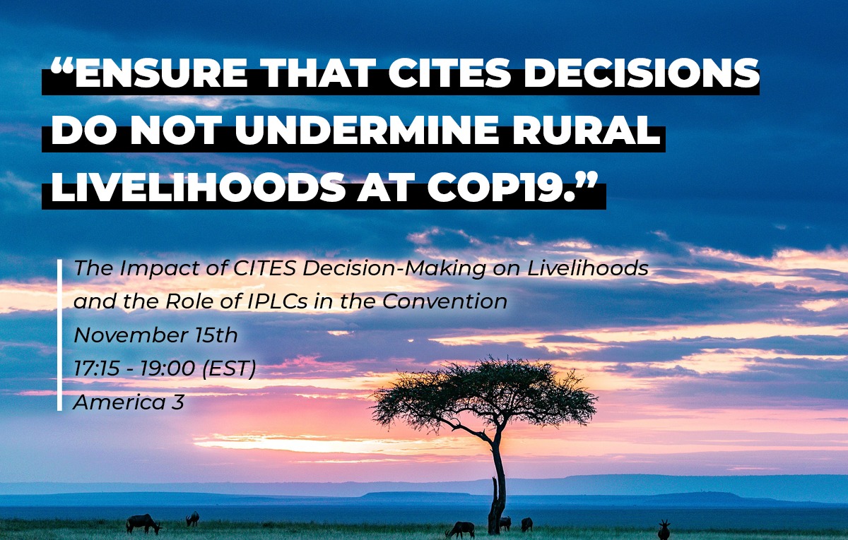 #CITES decisions to restrict the trade in some species of plants and animals come at the cost to rural livelihoods. At our side event today at #CITESCoP19, Botswana will be presenting Doc. 87.1 about CITES and livelihoods. Siyoka Simasiku will also give his thoughts on it.