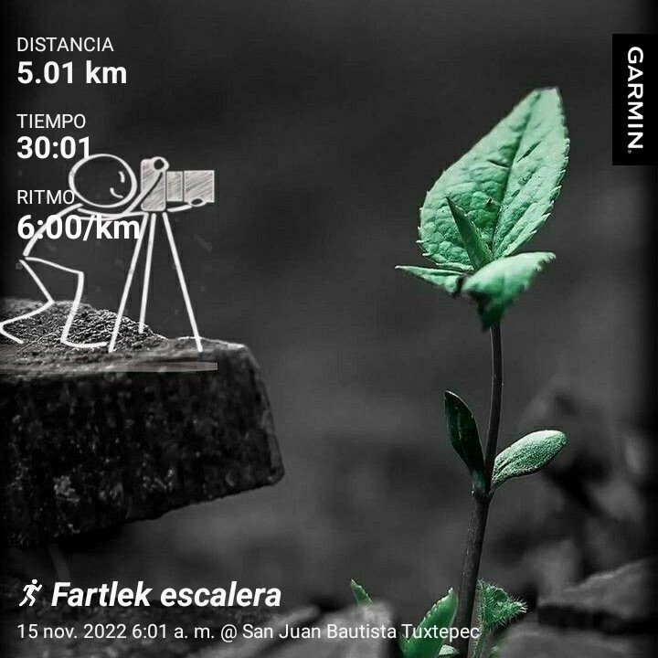 JosuManuelAven1's tweet photo. Por acá nos cayó la maldición fartlekiana en escalera.
Excelente entrenamiento.
Somos @FenixRun_Mexico
#inspirandometas #siesegordopudo
#teammadafaka #LigadelaJusticiaRunner https://t.co/ETtf7BOiuv
