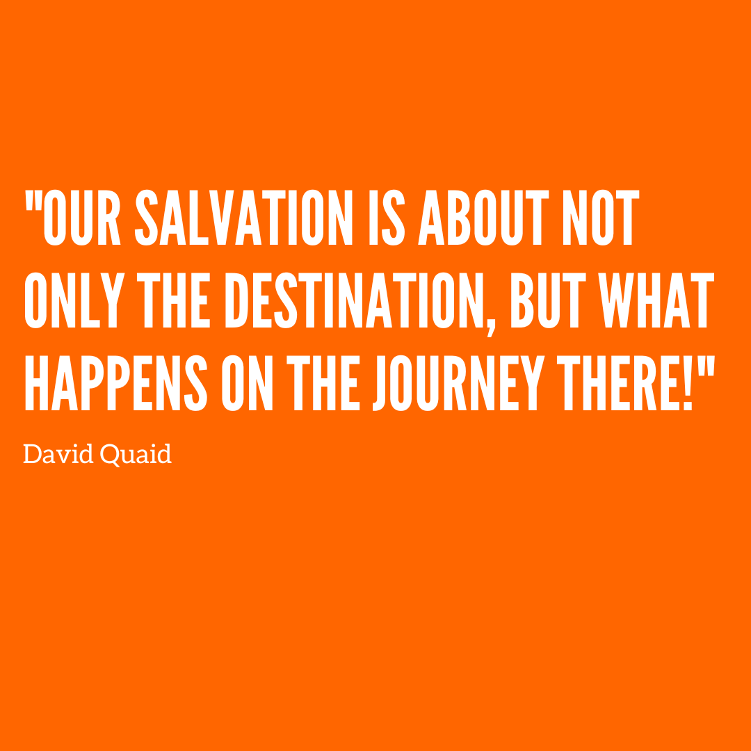 Vineyard N. Phoenix tweet media