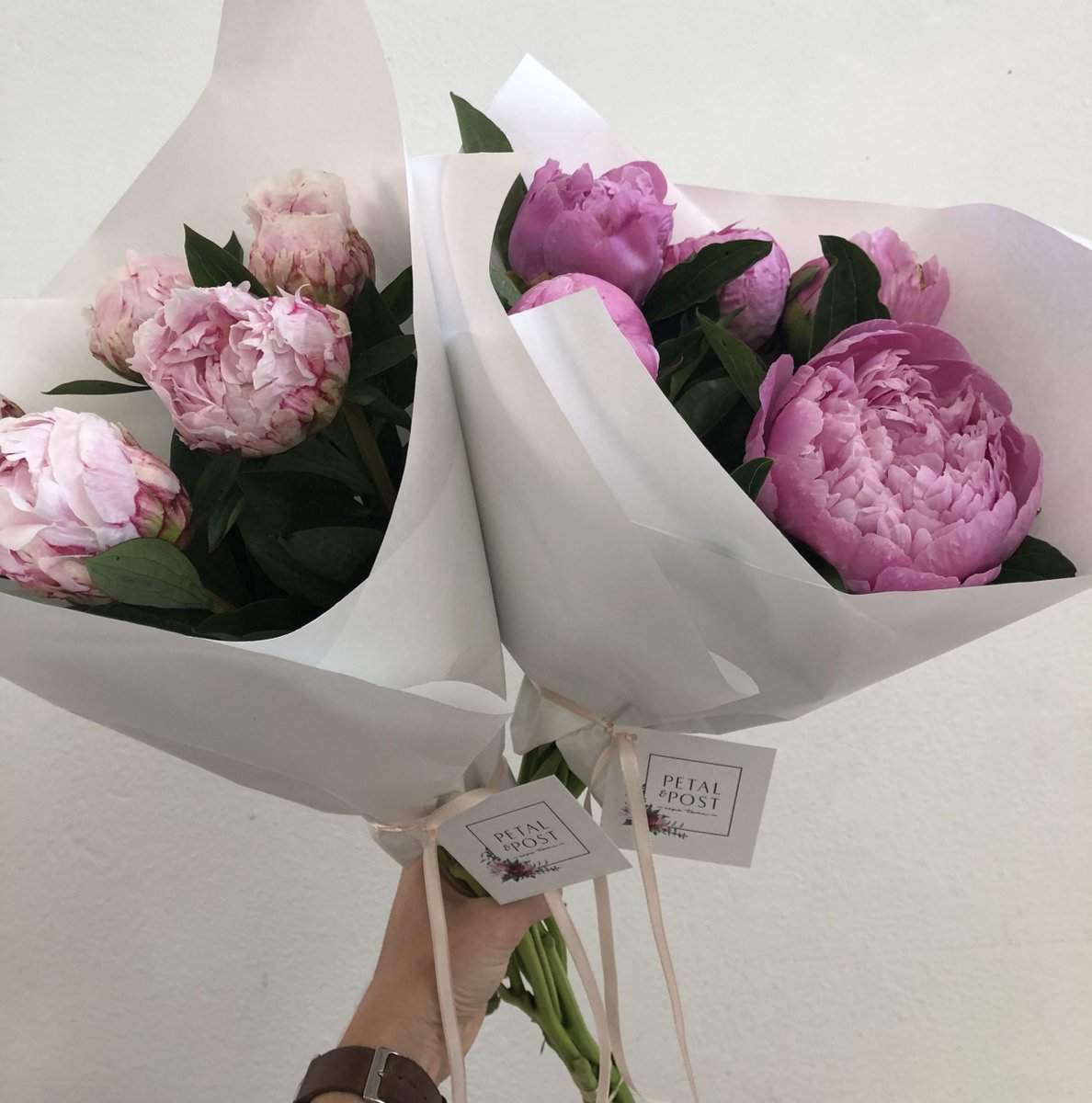 Peony delivery week starts  this week, and this is NOT a deal you want to miss out on!

 Contact Petal&amp;Post now to order yours today - they have only a limited amount left:

☎️071 454 6124
📍The Old Biscuit Mill, 375 Albert Rd, Woodstock, Cape Town, 7915