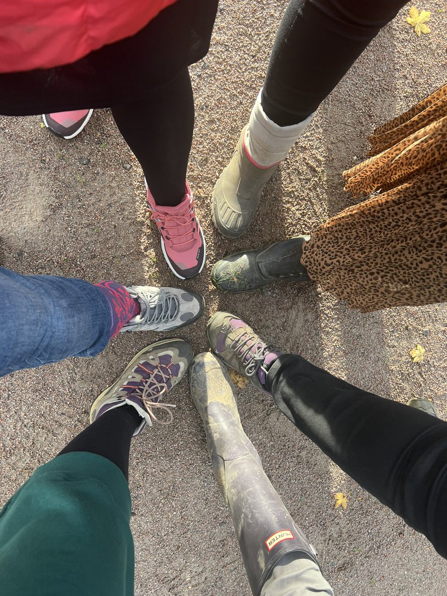 Sue Patterson tweet media