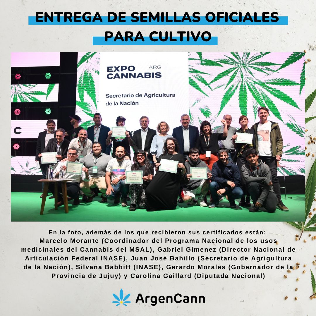 ArgenCann's tweet photo. 📣 Comienza la distribución de semillas legales en Argentina

👉 En el marco de #ExpoCannabis, se entregaron los primeros 8 registros de semillas de cannabis nacionales que muy pronto estarán disponibles para su venta en growshops y negocios especializados. https://t.co/6ueMhut5uq