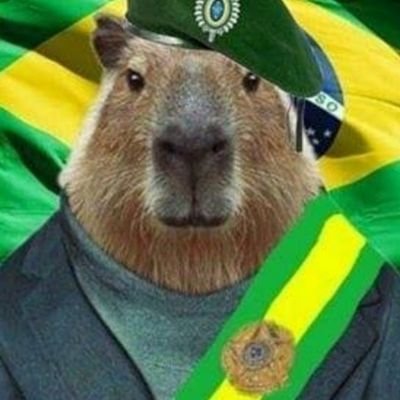 Capivara Agiota