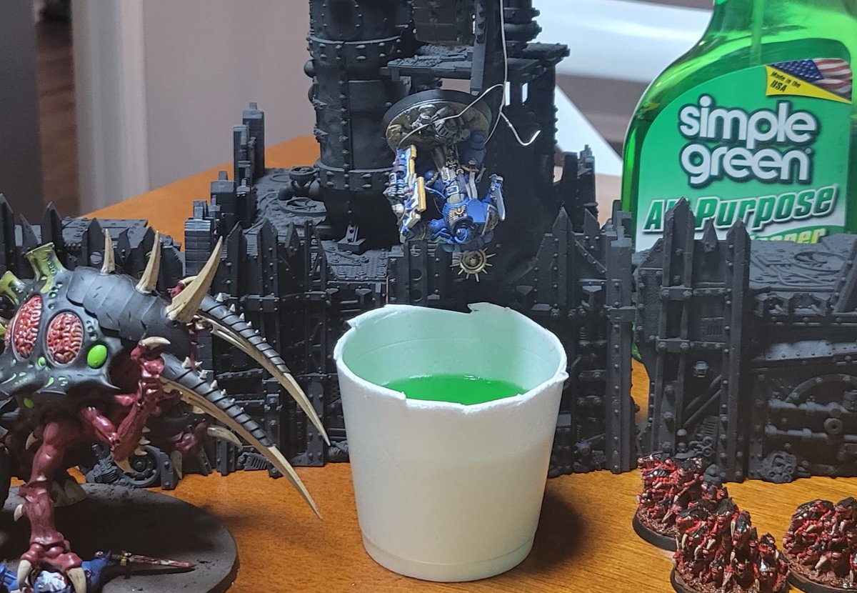 NornQueenKya's tweet photo. In #warhammer relationships, it's very important to establish and constantly remind the fool of the pecking order.

If not, your husband might walk around with the delusion that his faction is somehow up to par with yours. We can't have that. 
#WarhammerCommunity https://t.co/ciygYRKZfG