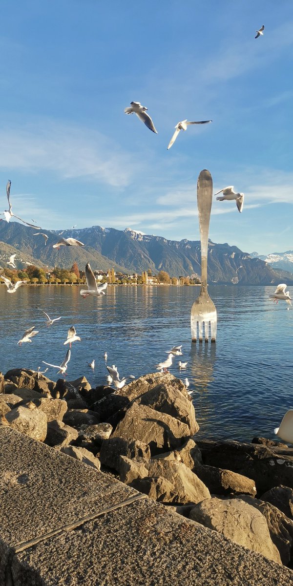 #vevey