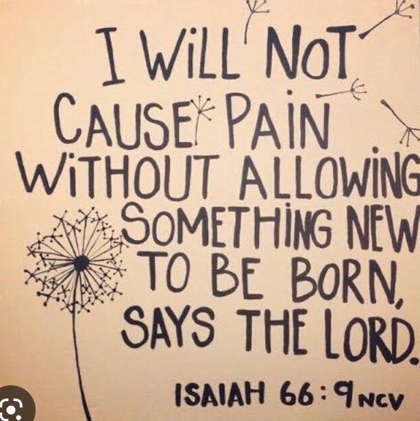 _teefred's tweet image. Stay strong, something great is coming out of this pain.
The God of "Yes and Amen" is working on this pain.
🙏🏾🙏🏾🙏🏾🙏🏾🙏🏾🙏🏾