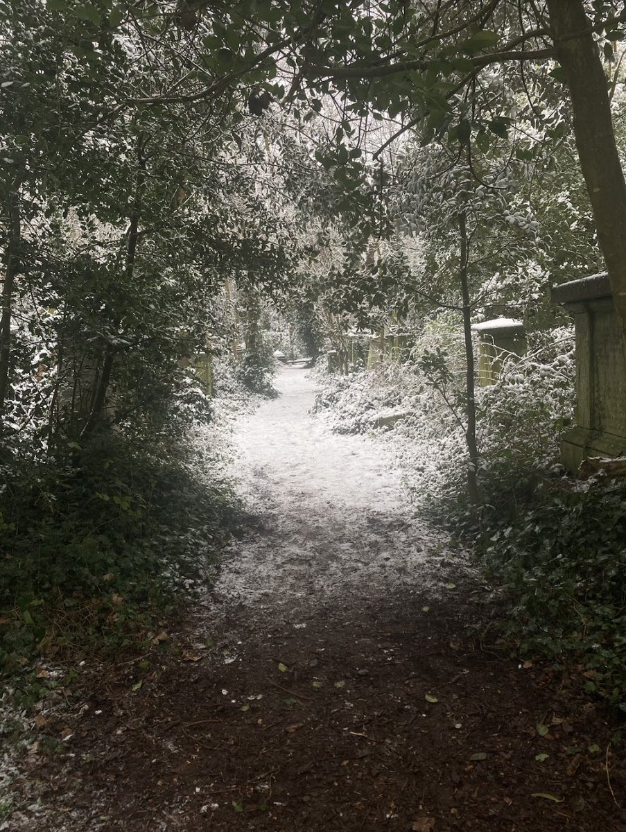 Our Christmas community stall is coming up on Sat 3rd December!

Join us from 11am – we’ll be selling Christmas cards, knitted items, delicious mince pies, Abney Park merchandise &amp; more. Plus: free walking tours to discover this magical urban woodland.

abneypark.org/upcoming-event…