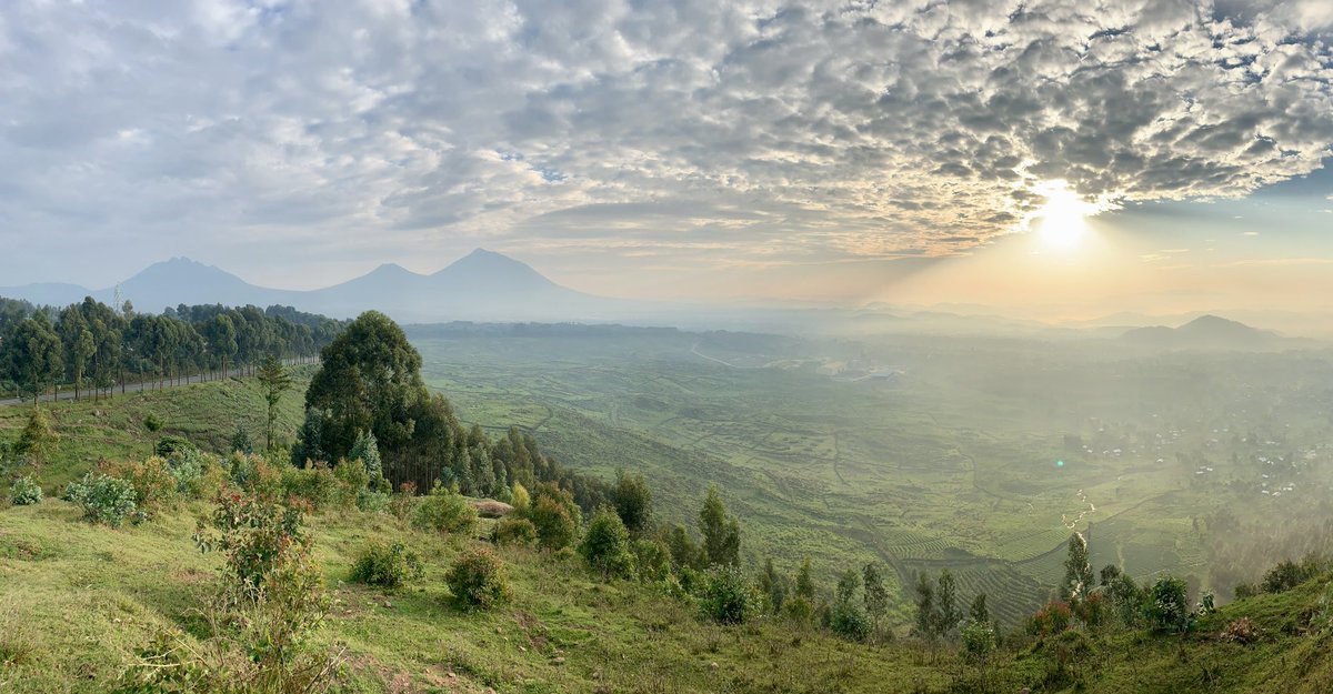 MatayoinRwanda's tweet photo. This photo reminds me of the Rwandan flag 🇷🇼 and the new dawn of hope rising over this beautiful nation that I am honored to call home! May the world be moved by our #RTW2022 photos to come and see! #RwandaInMyLens #VisitRwanda #VisitMusanze ⁦@TourismChamber⁩ Plz share! https://t.co/qprdmJhWpV